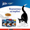 Felix Soup, Clear Soup for Cats with Delicate Pieces