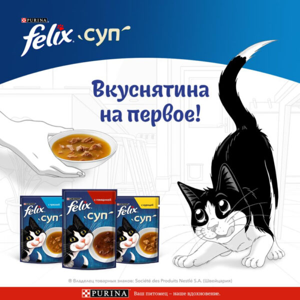 Felix Soup, Clear Soup for Cats with Delicate Pieces