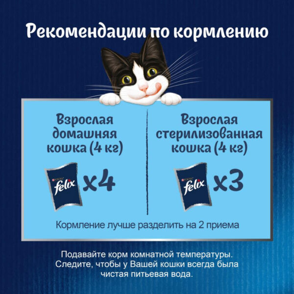 Felix Soup, Clear Soup for Cats with Delicate Pieces